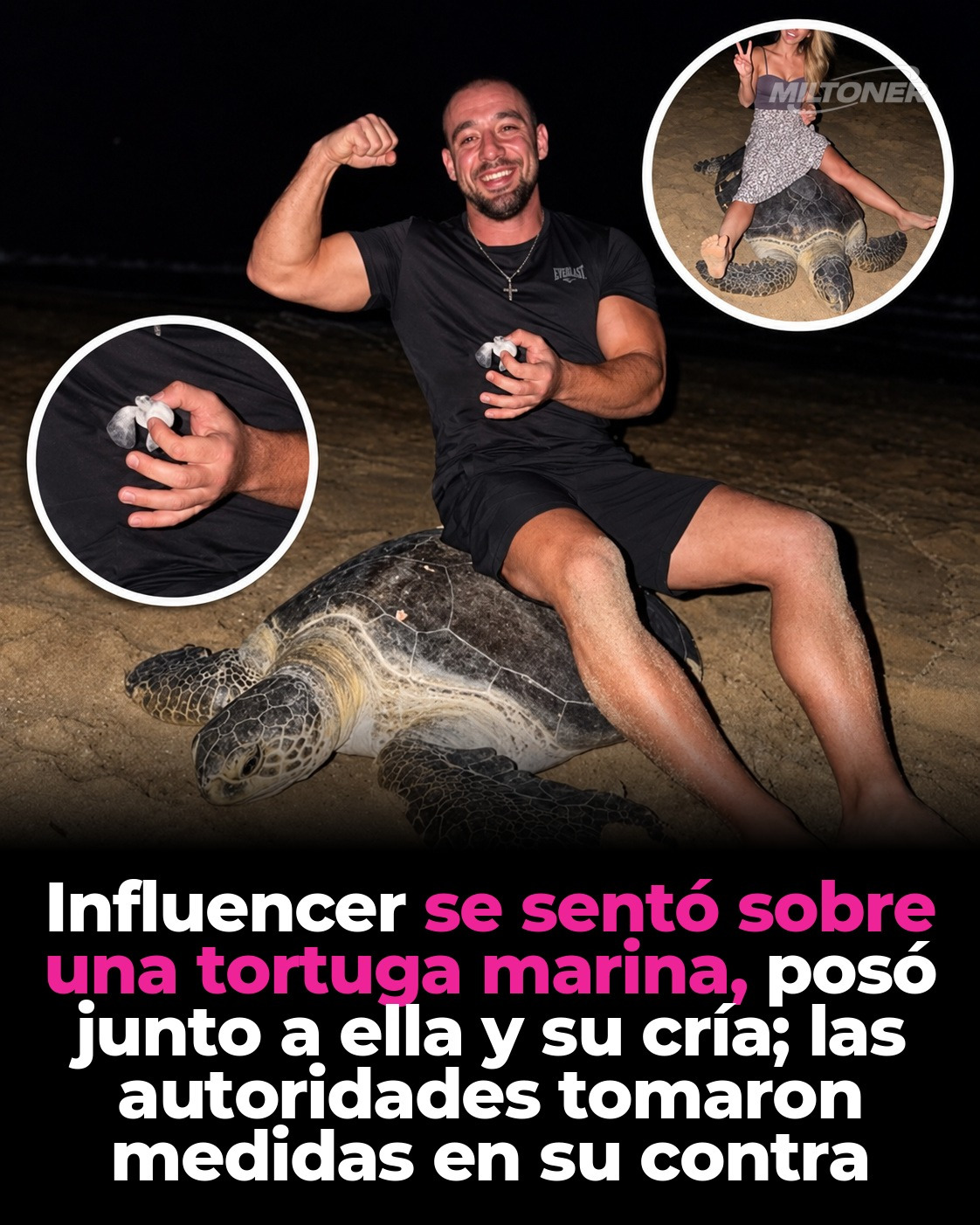 Influencer ucraniano se disculpa tras viral video sobre una tortuga en Omán