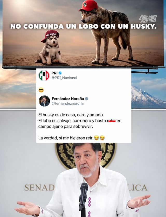 PRI usa el "no confunda un lobo con un husky" contra Morena y Noroña le contesta