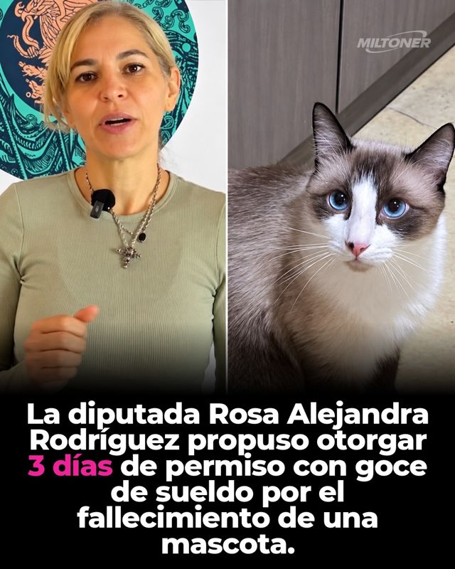 La iniciativa para dar 3 días de luto por mascotas sí existe, pero aún no es ley